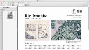 Rie Iwatake